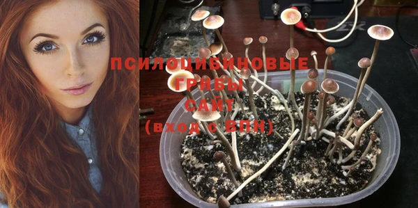 мяу мяу мука Арсеньев